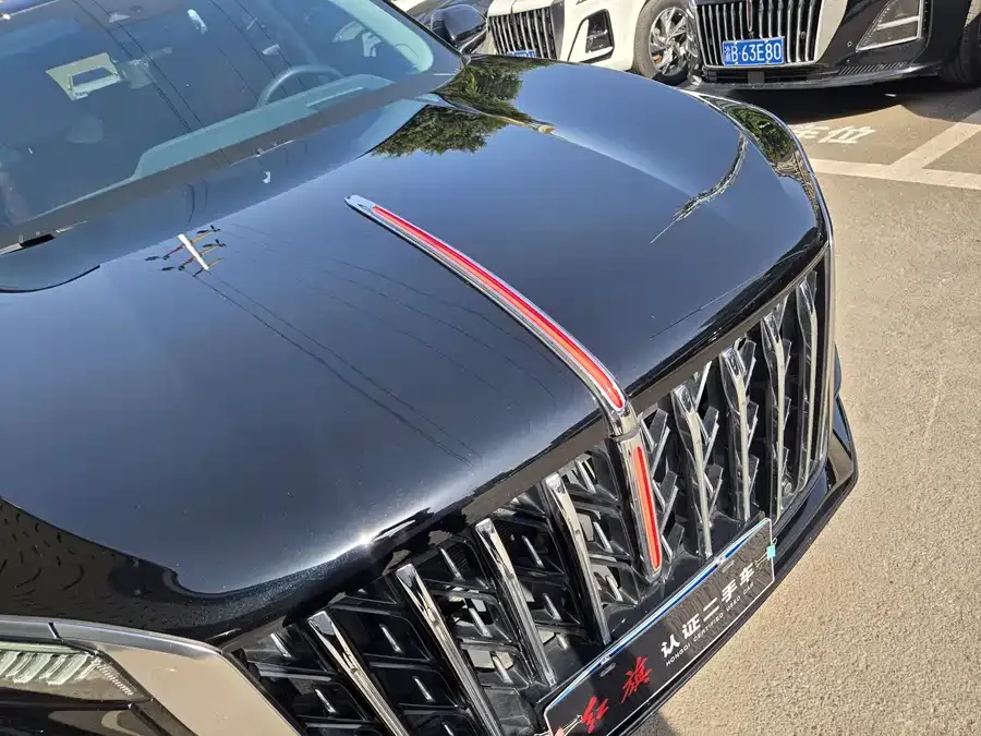 Hongqi HS5 Hongqi HS5 2023 2.0T Flagship Pro Edition 2024 — миниатюра 3