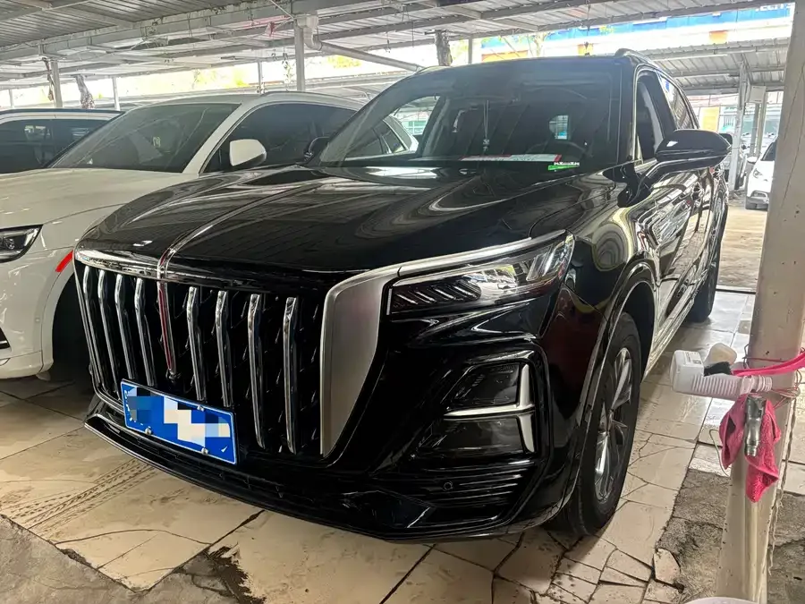 Hongqi HS5 Hongqi HS5 2023 2.0T Flagship Pro Edition 2024 — фото 1, купить с доставкой в Москву