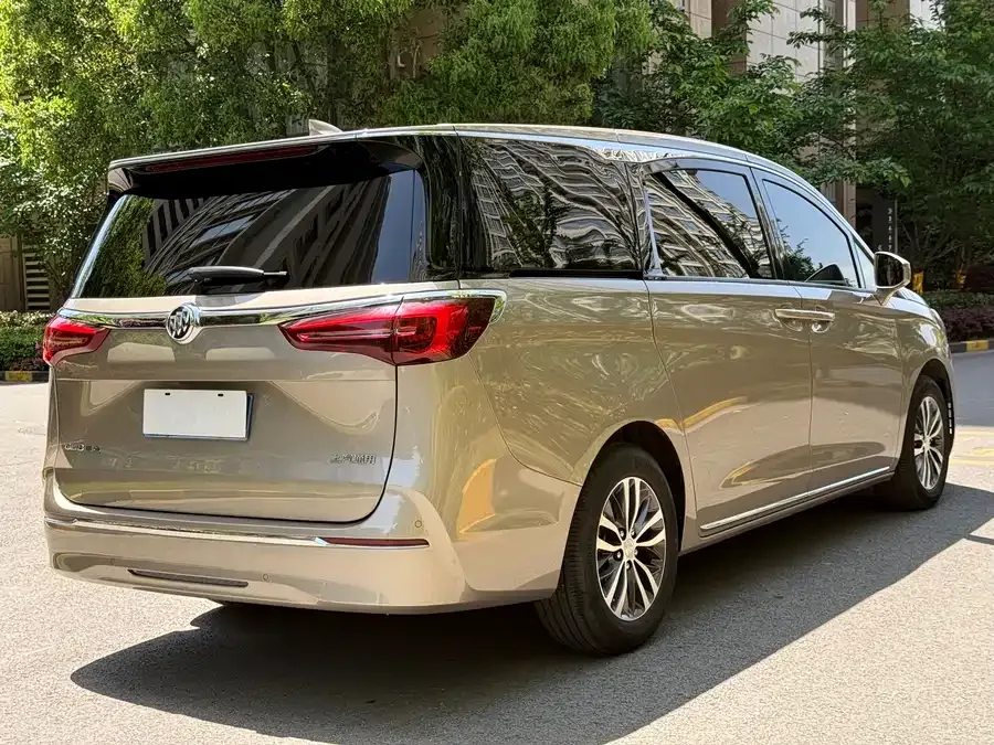 Buick GL8 2023 ES Lu Zun Comfort Edition 2024 — миниатюра 5