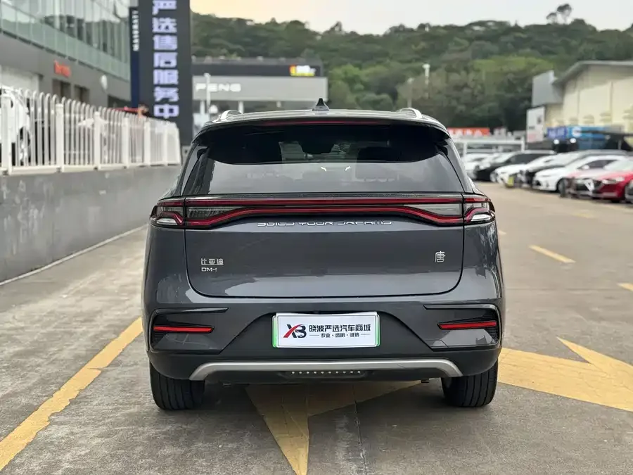 BYD Tang New Energy Tang New Energy 2021 DM-i 112KM Premium Edition 2022 — миниатюра 2
