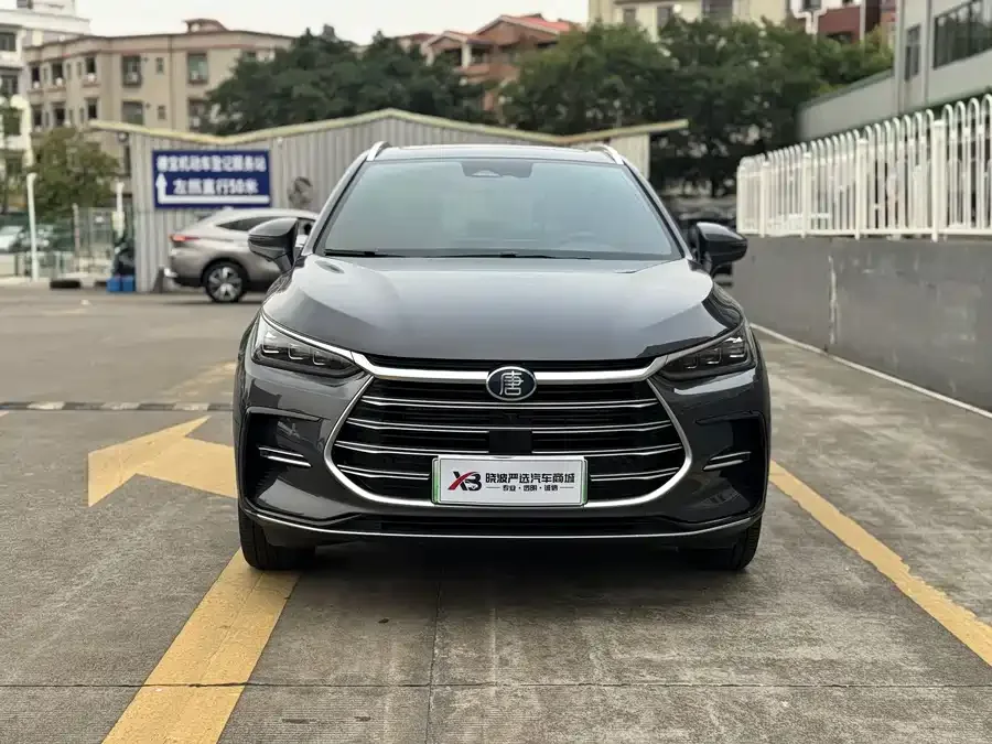 BYD Tang New Energy Tang New Energy 2021 DM-i 112KM Premium Edition 2022 — миниатюра 3