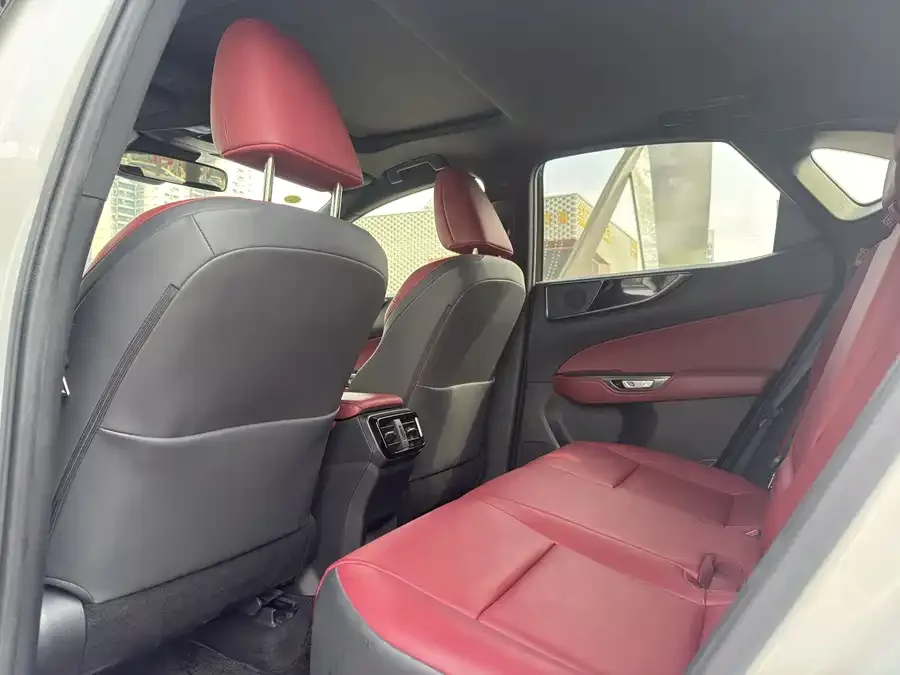 Lexus NX 2022 260 front-wheel drive Chuangyue Edition 2022 — миниатюра 4