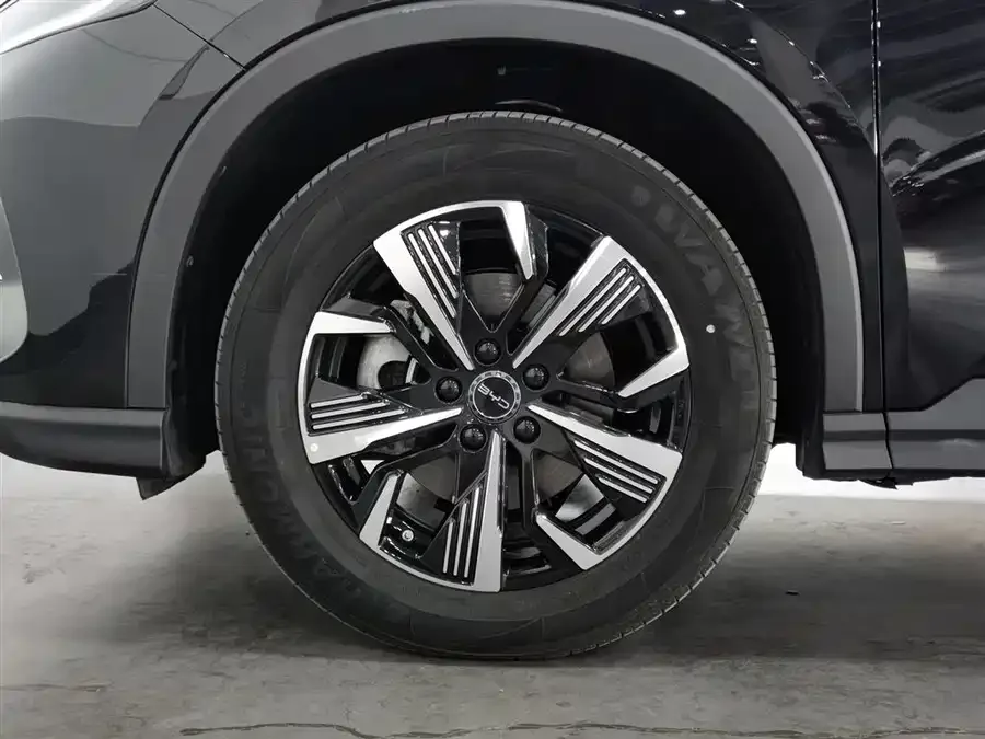 BYD Sea Lion 05 DM-i Sea Lion 05 DM-i 2025 DM-i 115KM Premium Edition 2024 — миниатюра 5