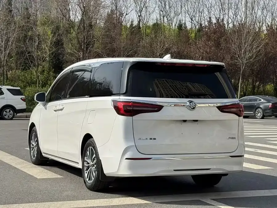 Buick GL8 2023 ES Lu Zun Premium Edition 2023 — миниатюра 3