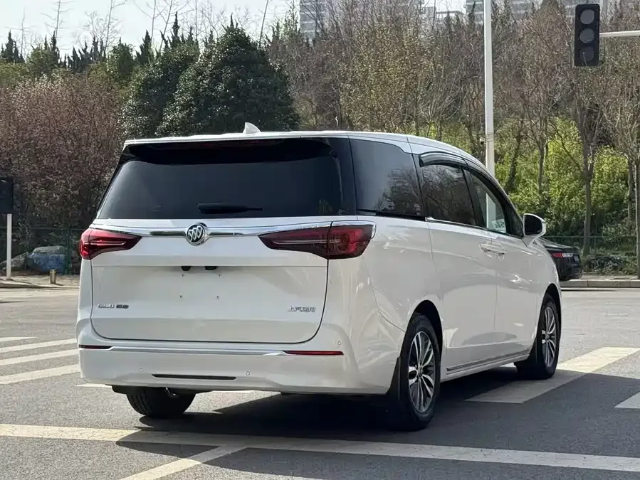 Buick GL8 2023 ES Lu Zun Premium Edition 2023 — миниатюра 5