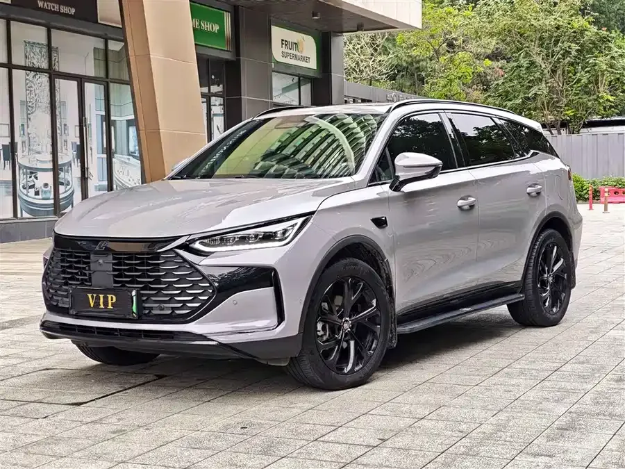 BYD Tang New Energy 2025