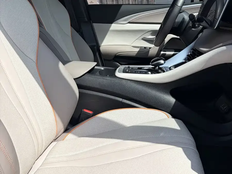 BYD Song Pro New Energy Song Pro New Energy 2023 Champion Edition DM-i 110KM Excellence 2024 — миниатюра 3
