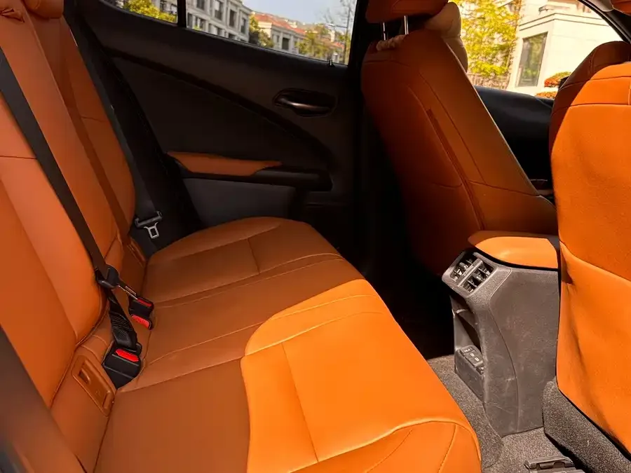 Lexus UX New Energy Lexus UX PHEV 2020 300e Pure Edition 2022 — миниатюра 5