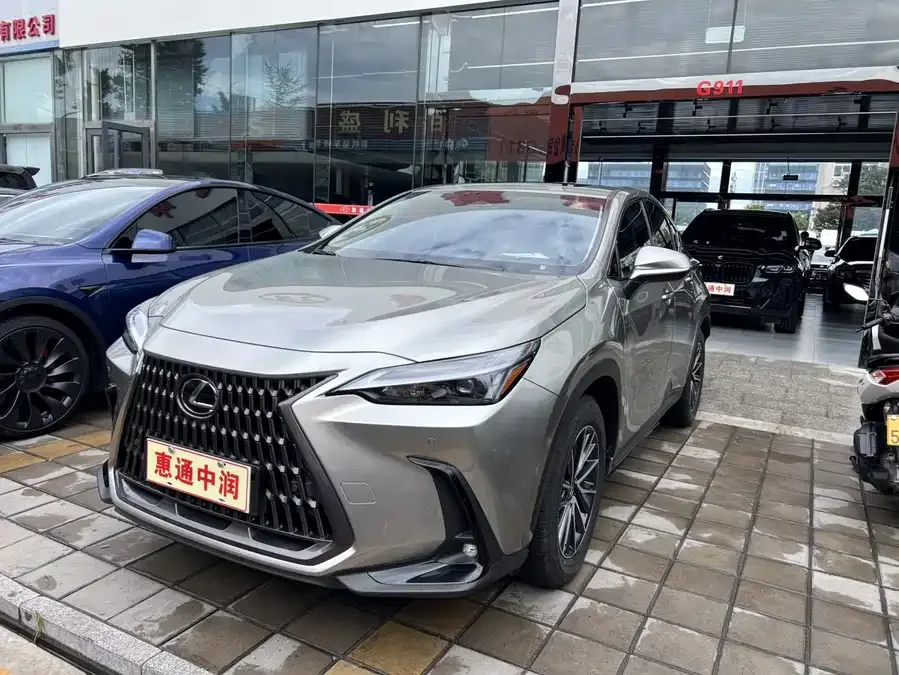 Lexus NX New Energy 2024