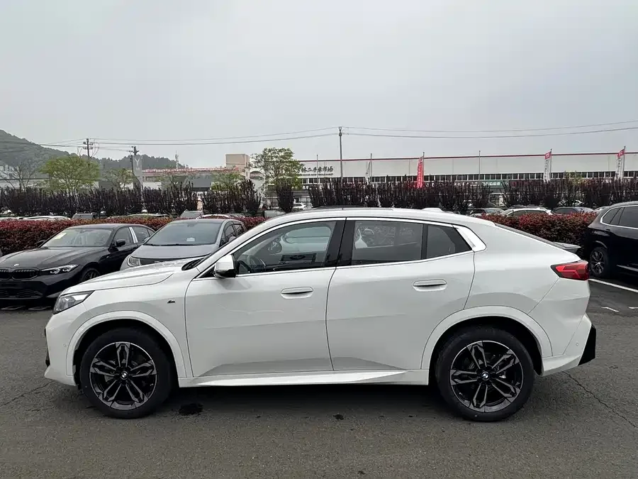 BMW X2 BMW X2 (Imported) 2024 sDrive25i M Sports Package 2025 — миниатюра 2