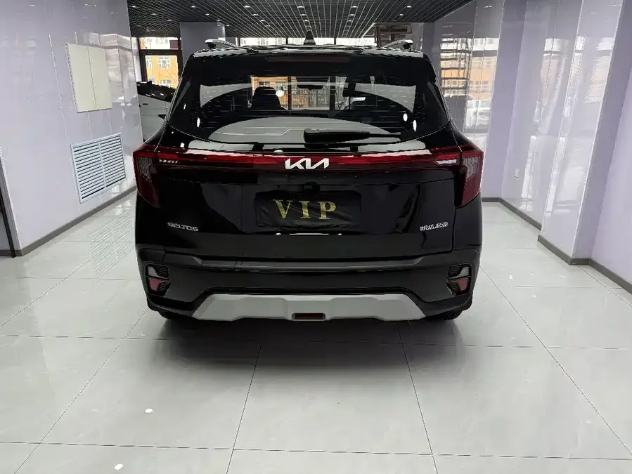 Kia Cyrus (Seltos) 2023 Certus 1.5L CVT Luxury Edition 2023 — миниатюра 3