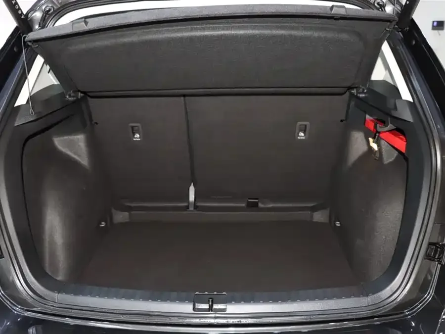 Volkswagen Tiguan (Tharu) Tuyue 2024 300TSI 2WD Full Moon Edition 2025 — миниатюра 5