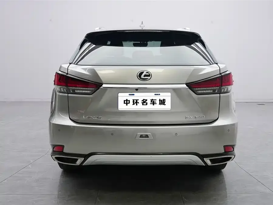 Lexus RX 2020 facelift 300 two-wheel drive elite version 2022 — миниатюра 5