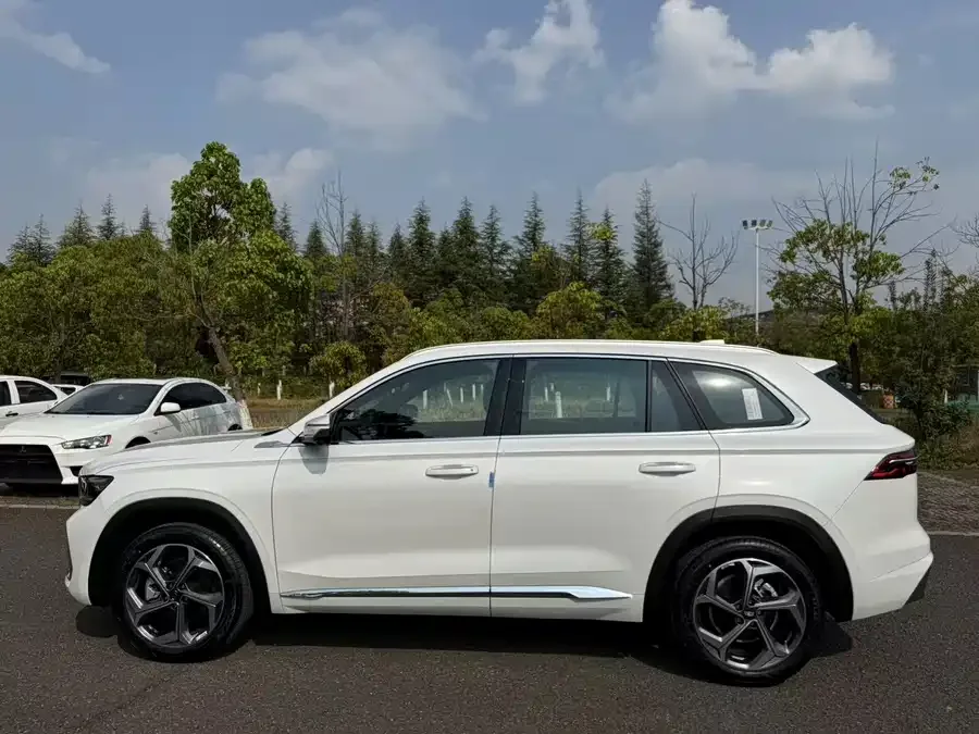Geely Monjaro Xingyue L 2024 2.0TD DCT EVO 2WD Changfeng Edition 2026 — миниатюра 5