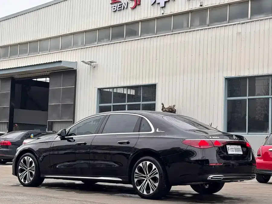 Mercedes-Benz E-Class Mercedes-Benz E-Class 2025 E 300 L Luxury Edition 2025 — миниатюра 5