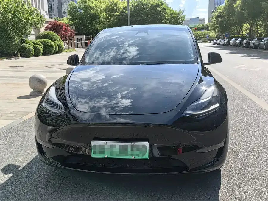 Tesla Model Y Model Y 2023 long-range all-wheel drive version 2024 — миниатюра 2