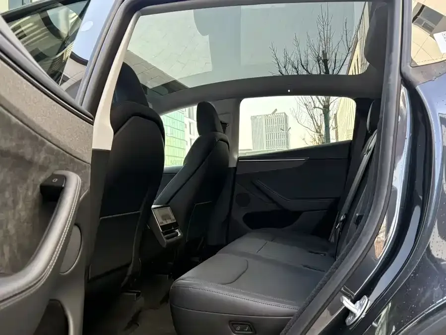 Tesla Model Y Model Y 2026 Rear-Wheel Drive 2026 — миниатюра 2