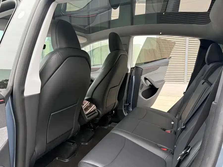 Tesla Model Y Model Y 2025 rear-wheel drive version 2025 — миниатюра 3