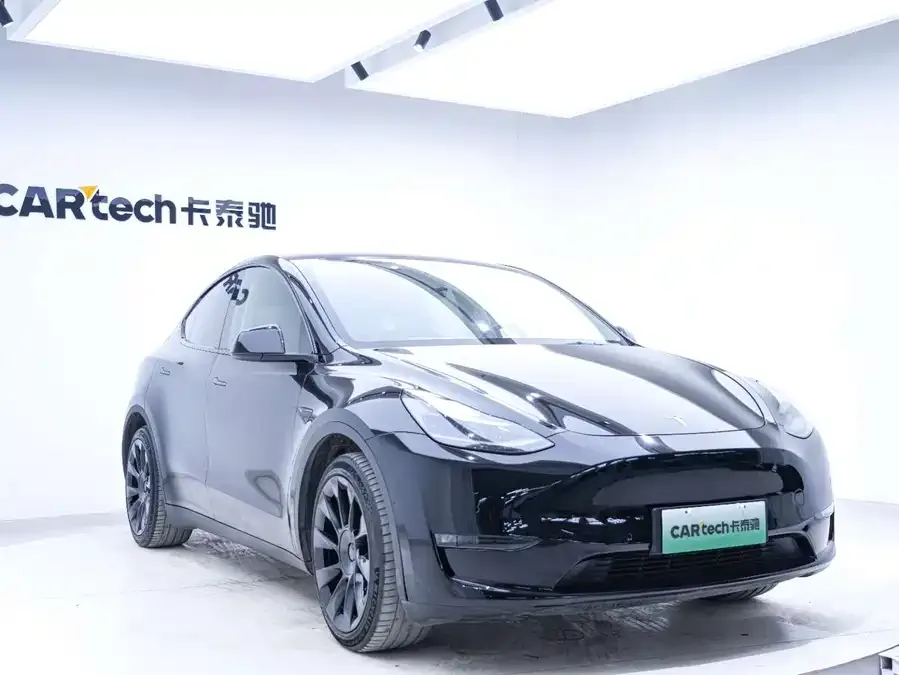 Tesla Model Y Model Y 2021 Standard Range Rear-wheel Drive Version 2022 — миниатюра 2