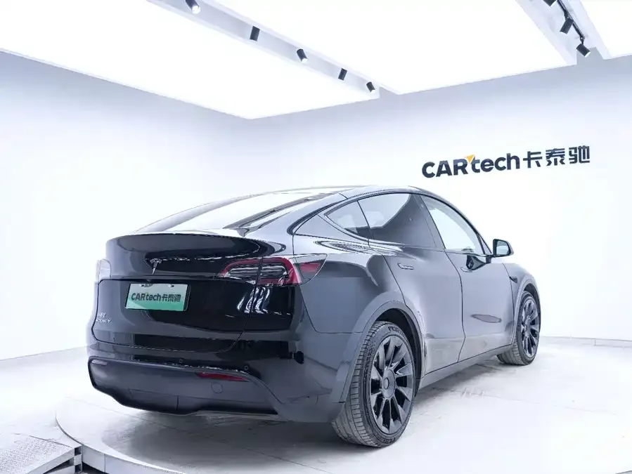 Tesla Model Y Model Y 2021 Standard Range Rear-wheel Drive Version 2022 — миниатюра 4
