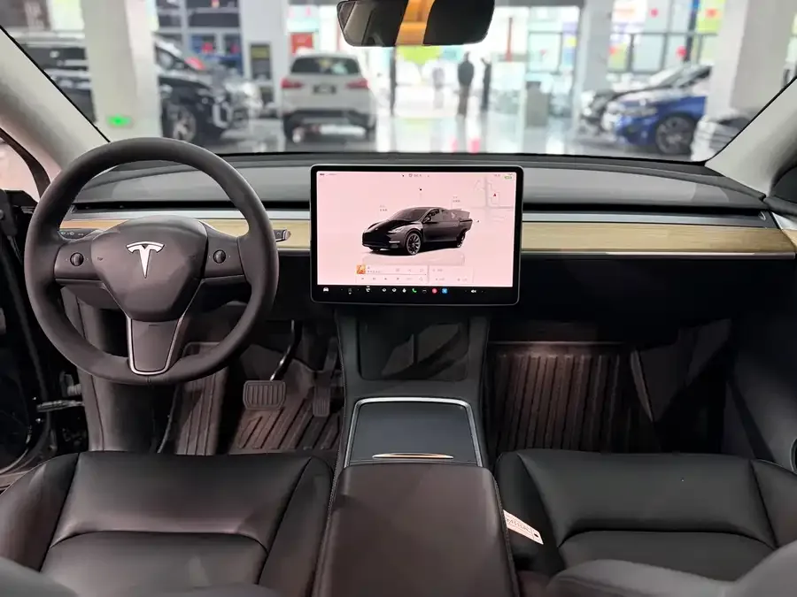 Tesla Model Y Model Y 2022 Long Range All-Wheel Drive Version 2022 — миниатюра 3