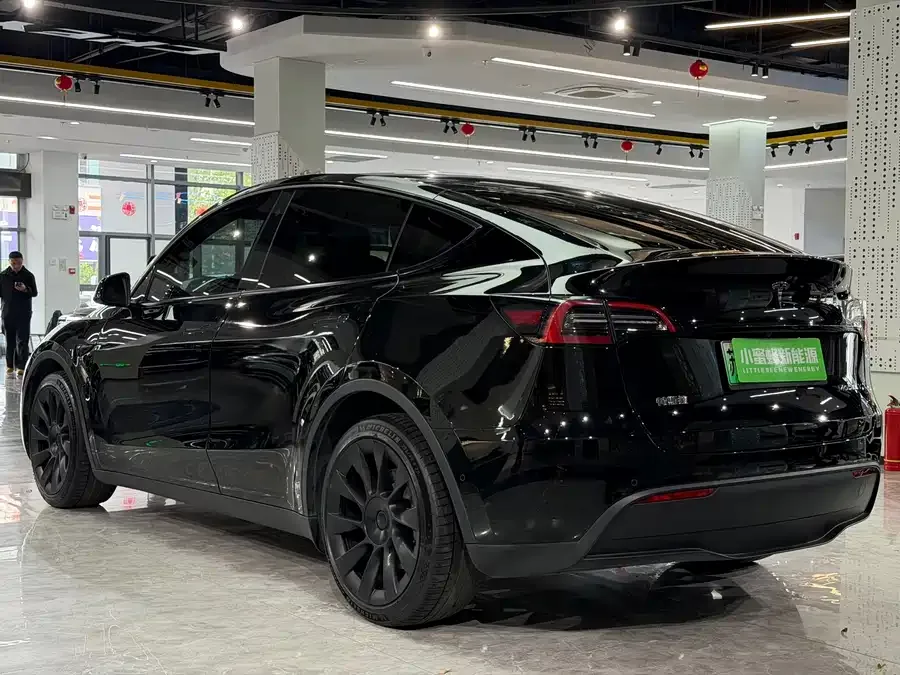 Tesla Model Y Model Y 2022 Long Range All-Wheel Drive Version 2022 — миниатюра 4