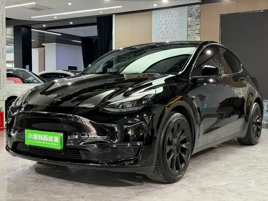 Tesla Model Y Model Y 2022 Long Range All-Wheel Drive Version 2022 — фото 1, купить с доставкой в Москву
