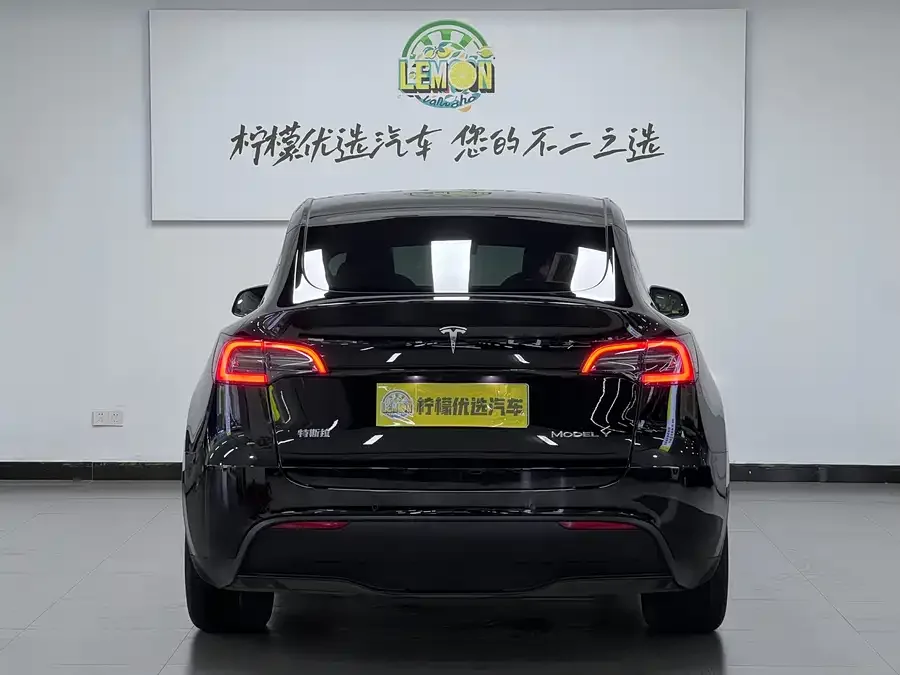 Tesla Model Y Model Y 2023 long-range all-wheel drive version 2024 — миниатюра 2
