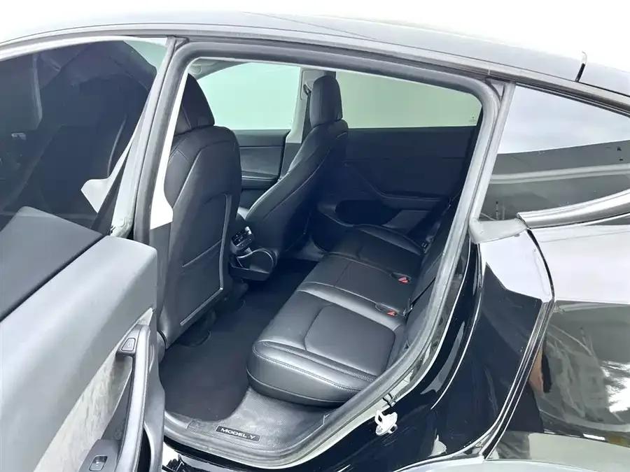 Tesla Model Y Model Y 2022 Long Range All-Wheel Drive Version 2022 — миниатюра 3