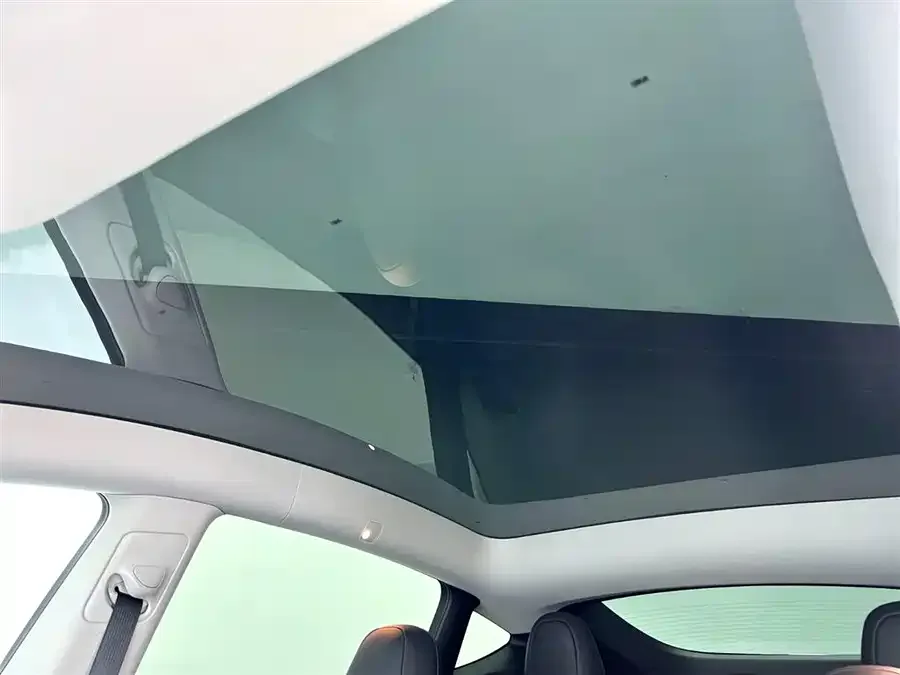 Tesla Model Y Model Y 2022 Long Range All-Wheel Drive Version 2022 — миниатюра 4