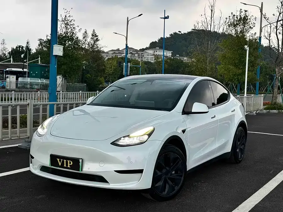 Tesla Model Y Model Y 2023 rear-wheel drive version 2023 — фото 1, купить с доставкой в Москву
