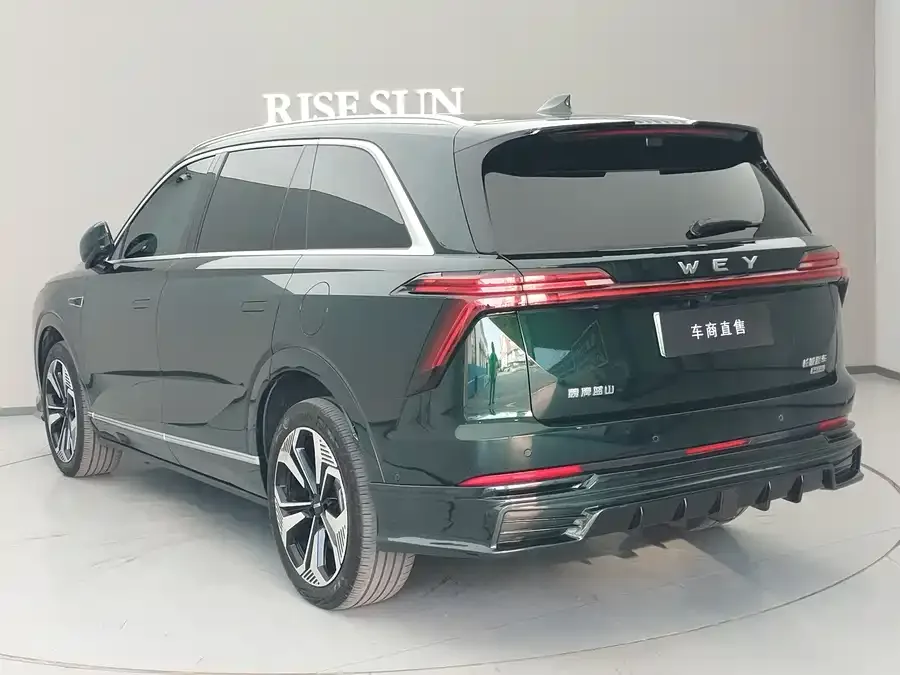 WEY Blue Mountains Wei Brand Blue Mountain 2025 4WD Max 2024 — миниатюра 3