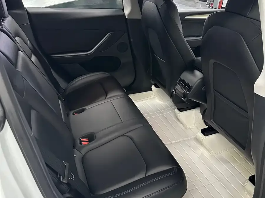Tesla Model Y Model Y 2021 Performance All-Wheel Drive 2022 — миниатюра 5