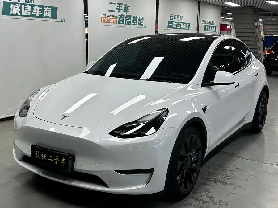 Tesla Model Y Model Y 2021 Performance All-Wheel Drive 2022 — фото 1, купить с доставкой в Москву