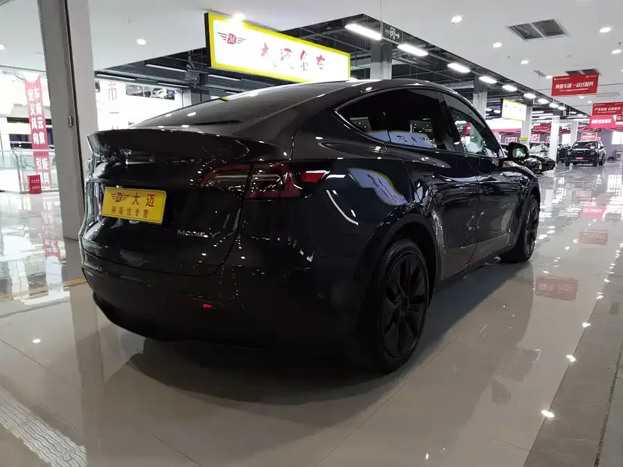 Tesla Model Y Model Y 2024 long-range all-wheel drive version 2024 — миниатюра 3