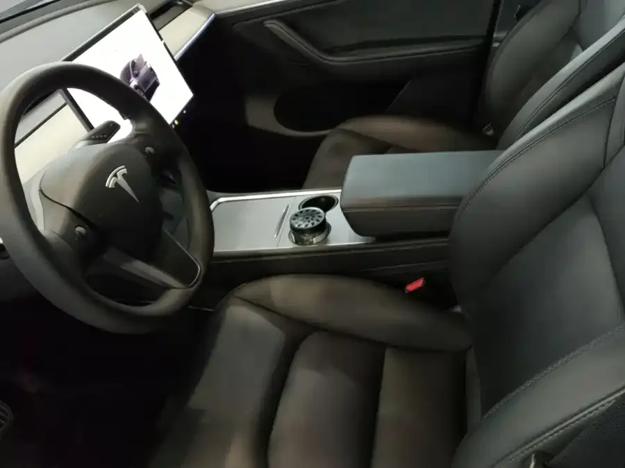Tesla Model Y Model Y 2024 long-range all-wheel drive version 2024 — миниатюра 4