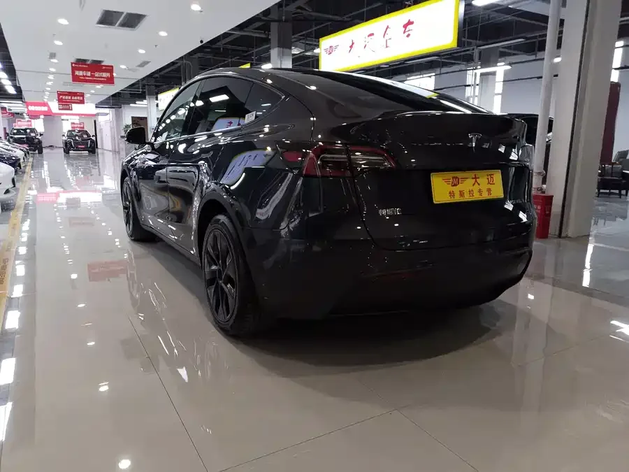Tesla Model Y Model Y 2024 long-range all-wheel drive version 2024 — миниатюра 5