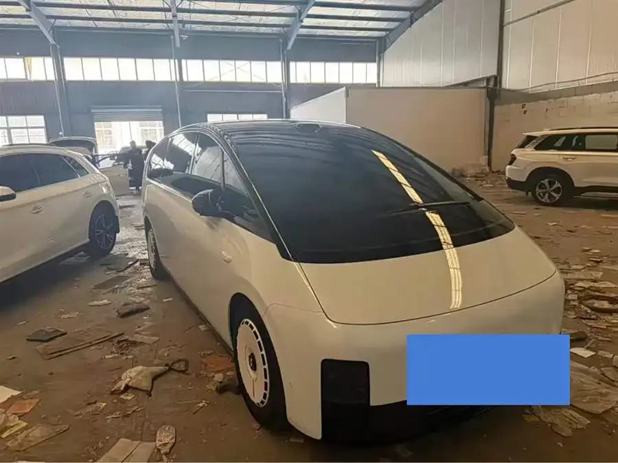 Li Xiang MEGA 2025