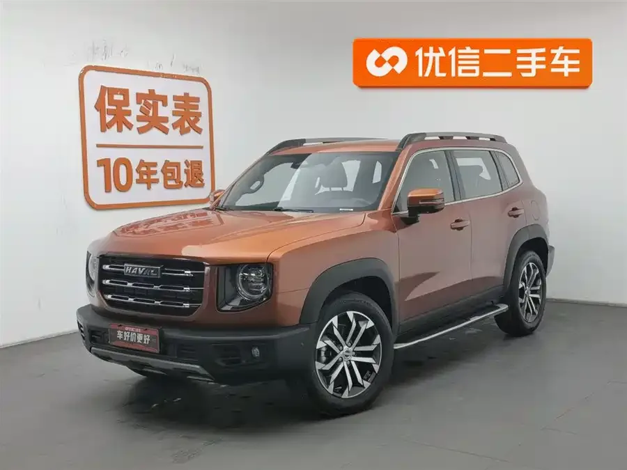 Haval Big dog Haval Big Dog 2021 facelift 1.5T DCT two-wheel drive horse dog version 2023 — фото 1, купить с доставкой в Москву