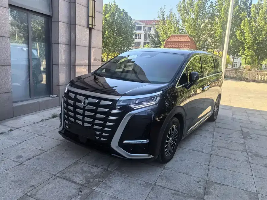BYD D9 2023