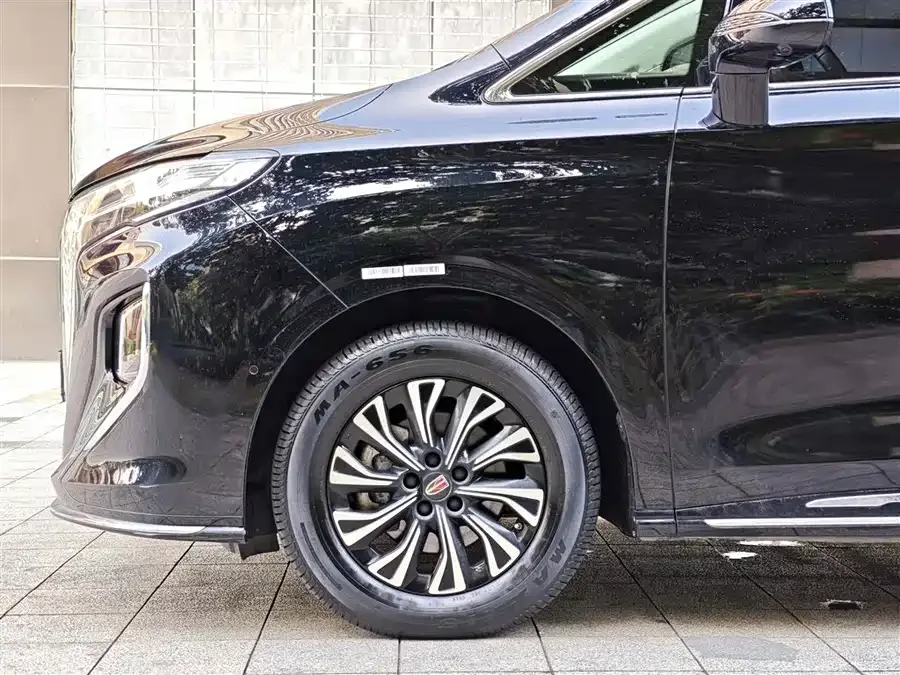 Hongqi HQ9 PHEV Hongqi HQ9 PHEV 2024 2.0T 4WD Luxury Edition 2024 — миниатюра 2