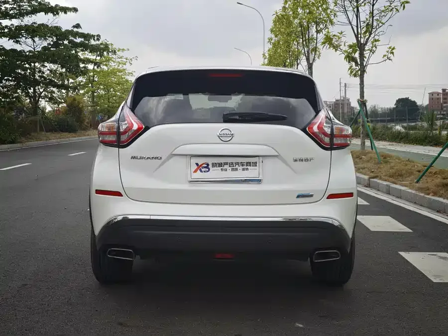 Nissan Murano Loulan 2021 2.5L XL 2WD Intelligent Linked Deluxe Edition 2023 — миниатюра 5