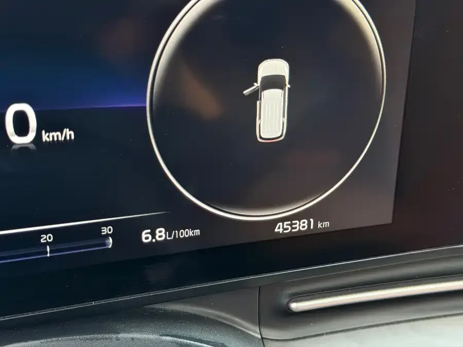 Kia Carnival Carnival 2021 2.0T Flagship Edition 2023 — миниатюра 3