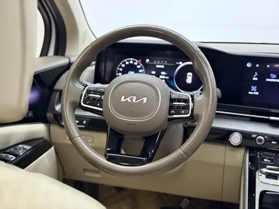 Kia Carnival Carnival 2021 2.0T Flagship Edition 2023 — миниатюра 5