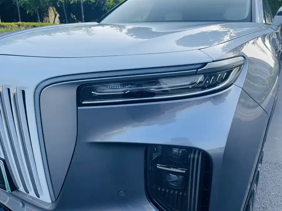 Hongqi E-HS9 Hongqi E-HS9 2022 660km flag collar version four seats 2023 — миниатюра 2