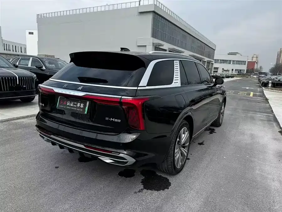 Hongqi E-HS9 Hongqi E-HS9 2022 690km Flagship Edition Six Seaters 2023 — миниатюра 5