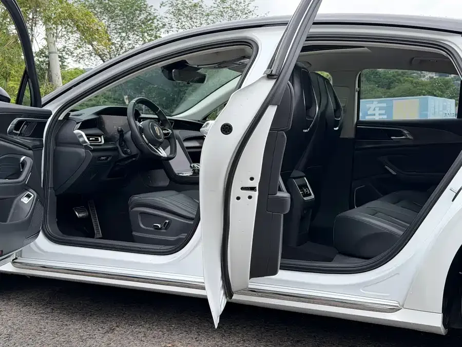 Hongqi H6 Hongqi H6 2023 2.0T American Edition 2023 — миниатюра 4