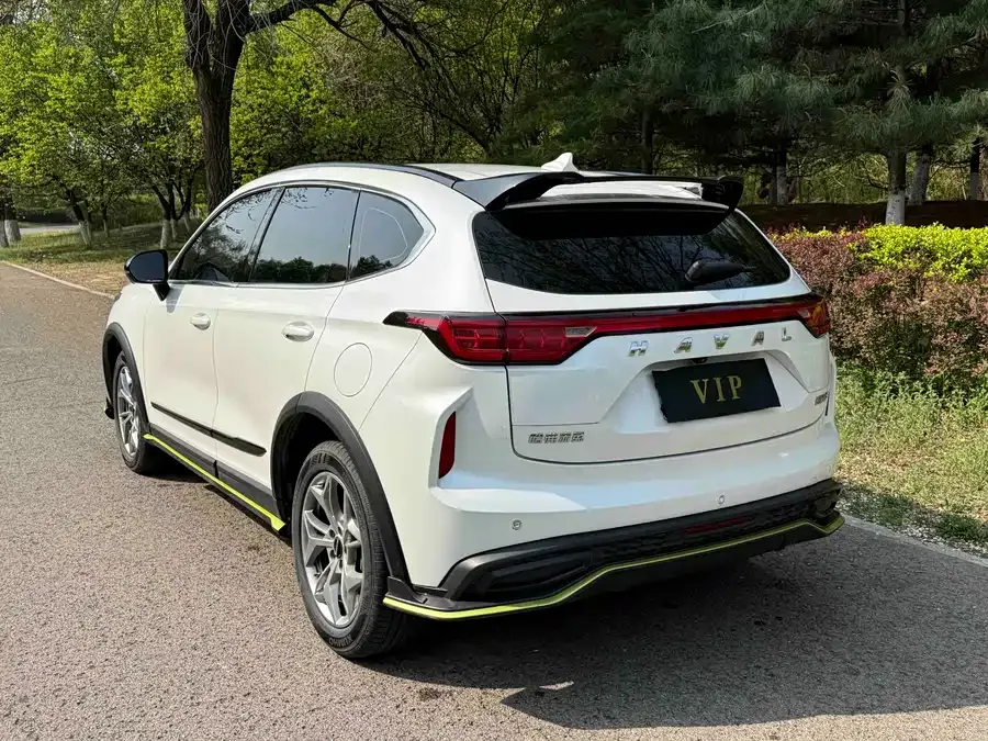 Haval Chitu (Red Rabbit) Haval Chitu 2022 Jinxiang Edition 1.5T Bronze Rabbit 2022 — миниатюра 4