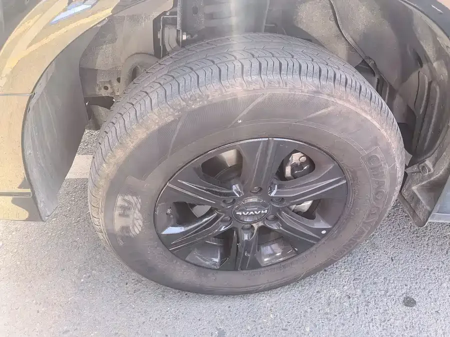 Haval H5 Haval H5 2025 2.0T Automatic 4WD Pilot Edition Gasoline 2025 — миниатюра 2