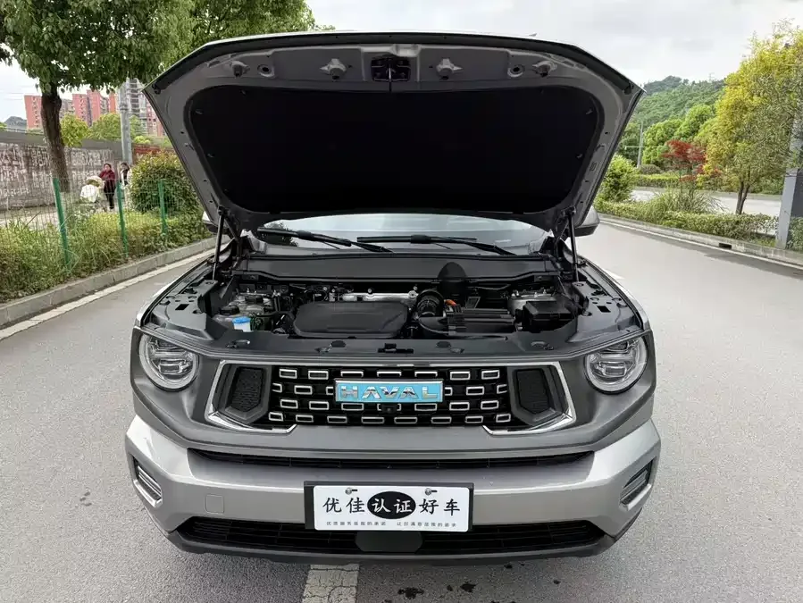Haval Big Dog PLUS New Energy Haval Big Dog PLUS New Energy 2023 DHT-PHEV 105km Trendy Electric Edition 2023 — миниатюра 5